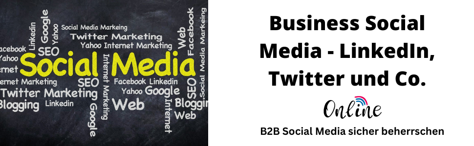 Business Social Media - LinkedIn, Twitter und Co. B2B Social Media sicher beherrschen
